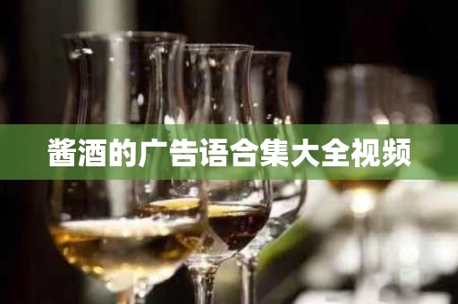 酱酒的广告语合集大全视频