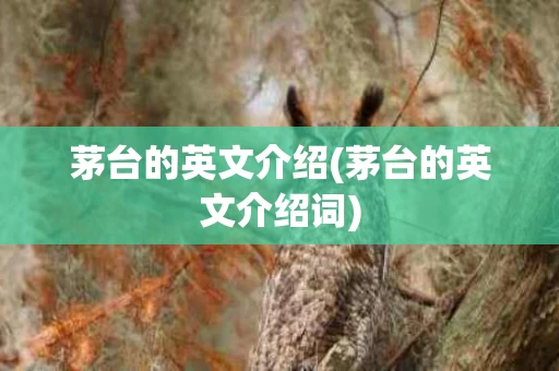 茅台的英文介绍(茅台的英文介绍词)