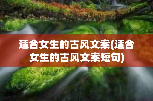 适合女生的古风文案(适合女生的古风文案短句)