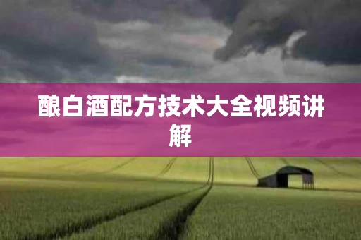 酿白酒配方技术大全视频讲解