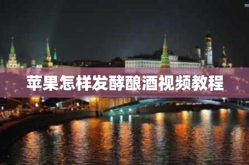 苹果怎样发酵酿酒视频教程