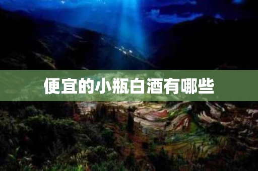 便宜的小瓶白酒有哪些