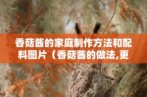香菇酱的家庭制作方法和配料图片（香菇酱的做法,更健康,简单易学）
