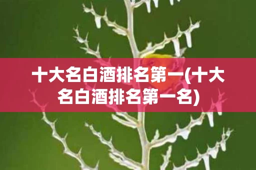 十大名白酒排名第一(十大名白酒排名第一名)