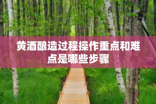黄酒酿造过程操作重点和难点是哪些步骤