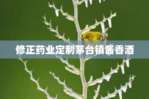 修正药业定制茅台镇酱香酒