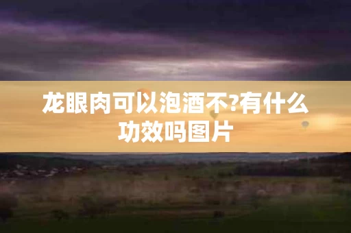 龙眼肉可以泡酒不?有什么功效吗图片