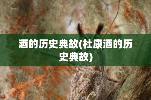 酒的历史典故(杜康酒的历史典故)