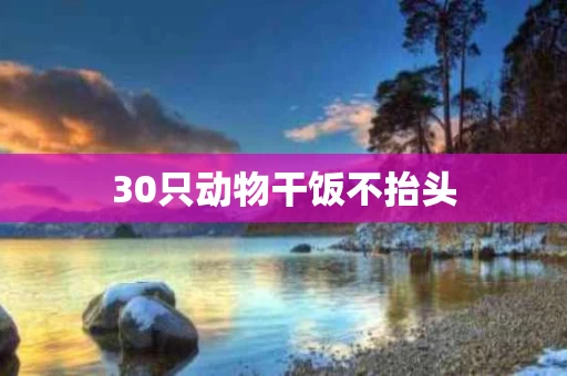 30只动物干饭不抬头