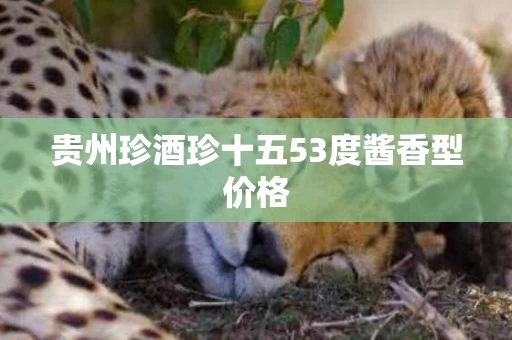贵州珍酒珍十五53度酱香型价格