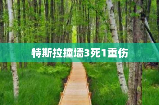 特斯拉撞墙3死1重伤