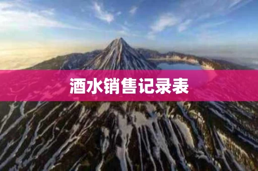 酒水销售记录表