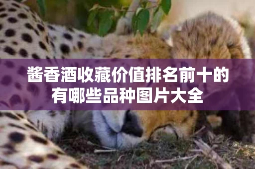 酱香酒收藏价值排名前十的有哪些品种图片大全
