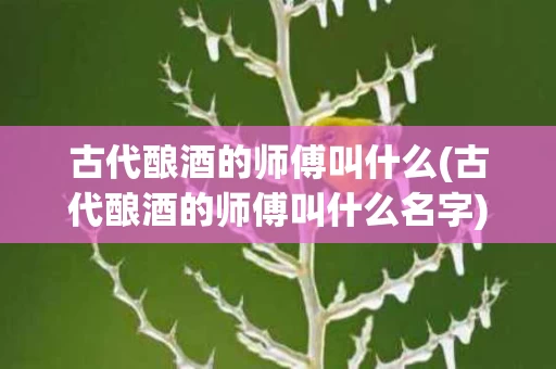古代酿酒的师傅叫什么(古代酿酒的师傅叫什么名字)