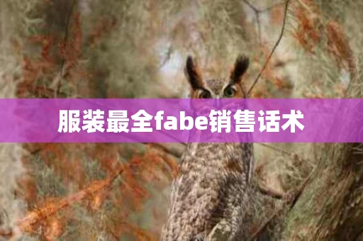 服装最全fabe销售话术