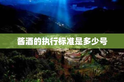 酱酒的执行标准是多少号