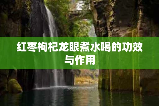 红枣枸杞龙眼煮水喝的功效与作用