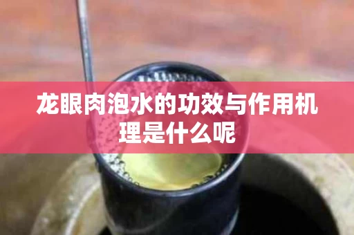 龙眼肉泡水的功效与作用机理是什么呢