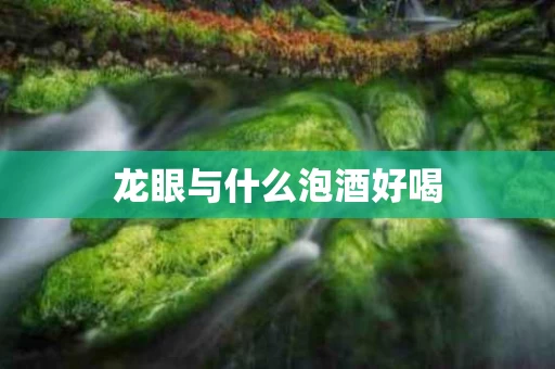 龙眼与什么泡酒好喝