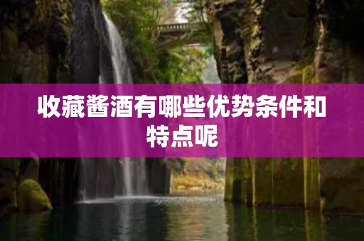 收藏酱酒有哪些优势条件和特点呢