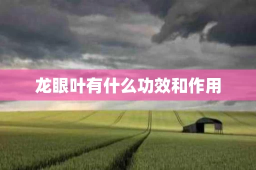 龙眼叶有什么功效和作用