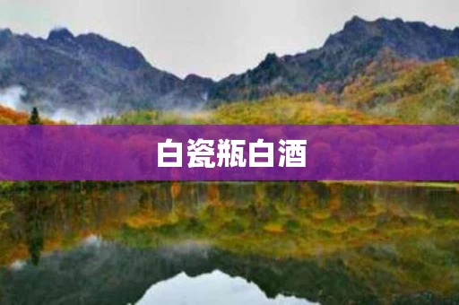 白瓷瓶白酒