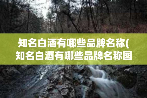 知名白酒有哪些品牌名称(知名白酒有哪些品牌名称图片)