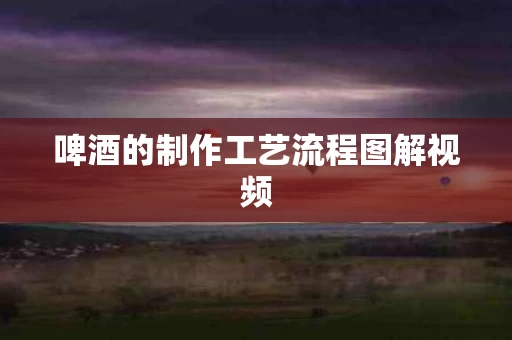 啤酒的制作工艺流程图解视频