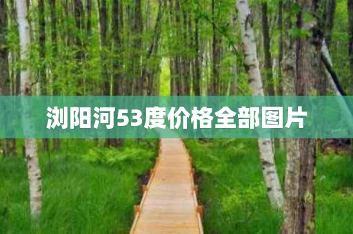 浏阳河53度价格全部图片
