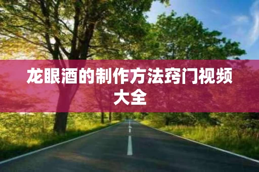龙眼酒的制作方法窍门视频大全