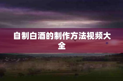 自制白酒的制作方法视频大全