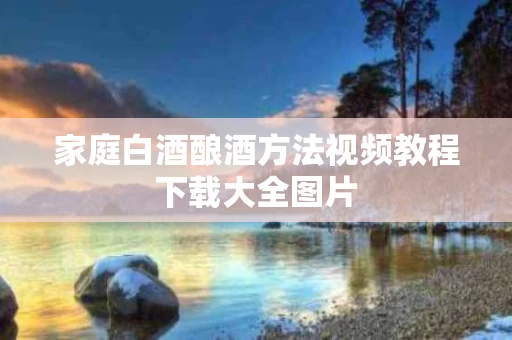 家庭白酒酿酒方法视频教程下载大全图片