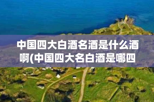 中国四大白酒名酒是什么酒啊(中国四大名白酒是哪四种)