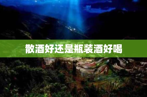散酒好还是瓶装酒好喝