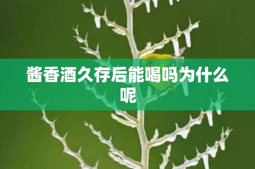 酱香酒久存后能喝吗为什么呢