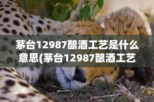 茅台12987酿酒工艺是什么意思(茅台12987酿酒工艺是什么意思呢)