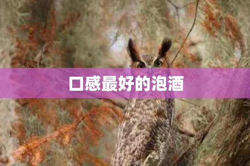 口感最好的泡酒