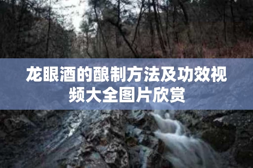 龙眼酒的酿制方法及功效视频大全图片欣赏