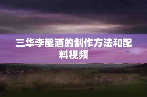 三华李酿酒的制作方法和配料视频