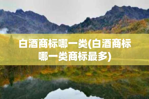 白酒商标哪一类(白酒商标哪一类商标最多)