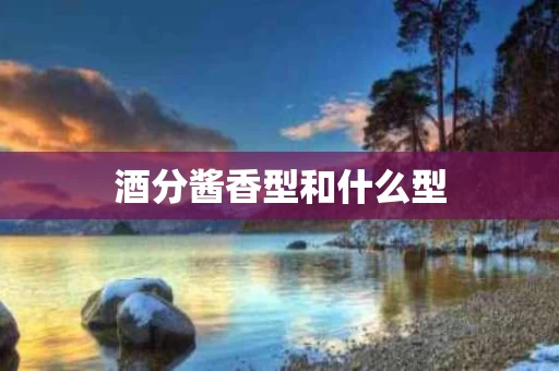 酒分酱香型和什么型