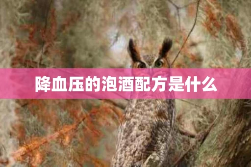 降血压的泡酒配方是什么