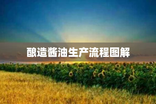 酿造酱油生产流程图解