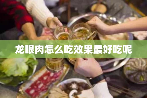龙眼肉怎么吃效果最好吃呢