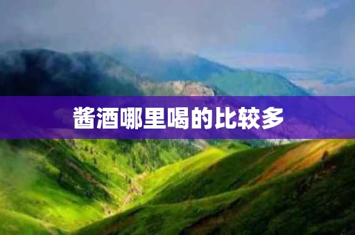 酱酒哪里喝的比较多