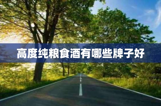 高度纯粮食酒有哪些牌子好