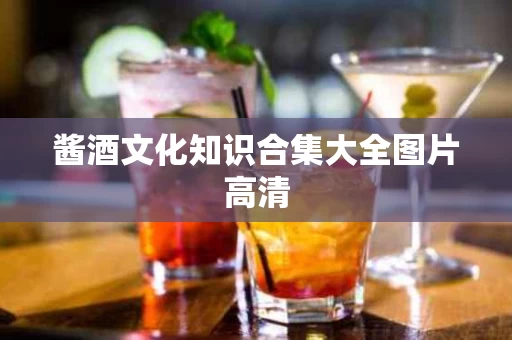 酱酒文化知识合集大全图片高清