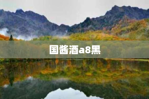 国酱酒a8黑
