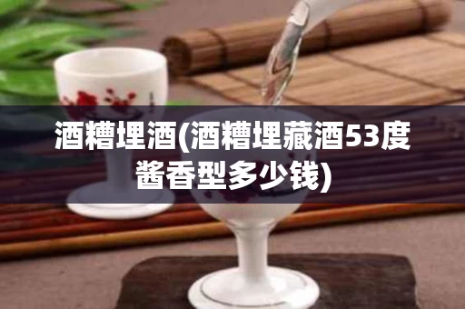 酒糟埋酒(酒糟埋藏酒53度酱香型多少钱)