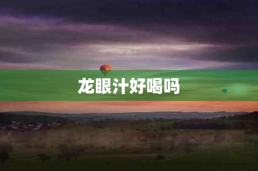 龙眼汁好喝吗